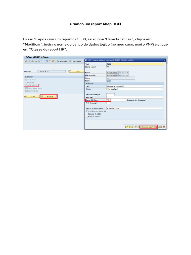 Report ABAP HCM: Criando e Configurando | PDF