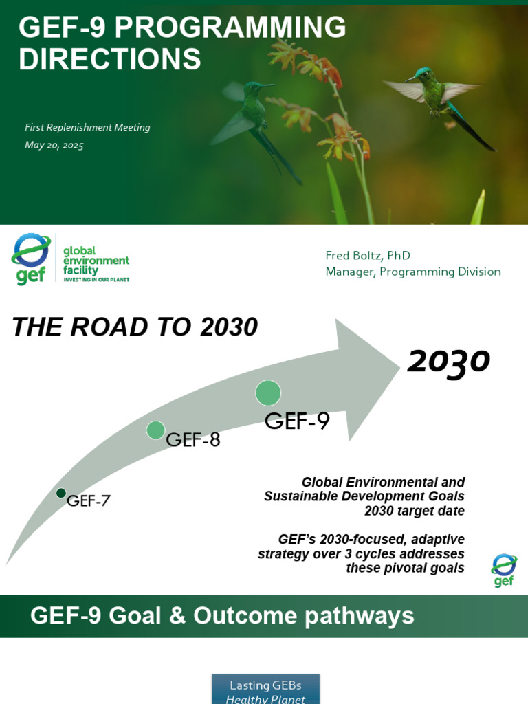 GEF-9 Programming Directions Overview | PDF | Sustainability ...