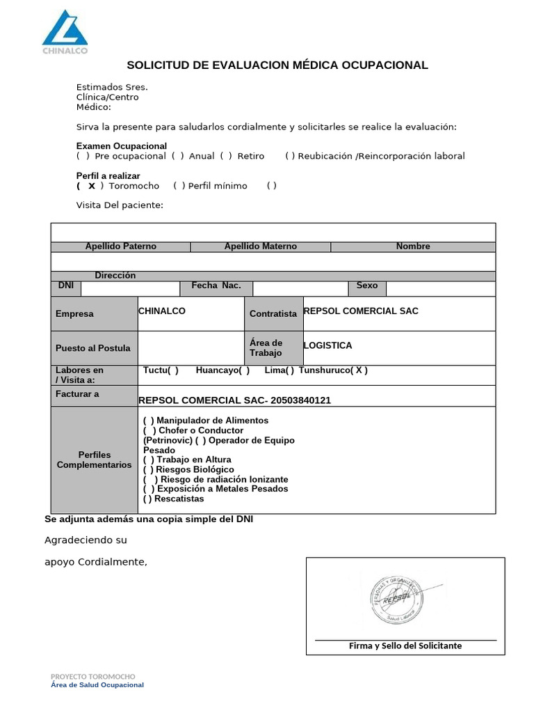 Formato para Chinalco | PDF