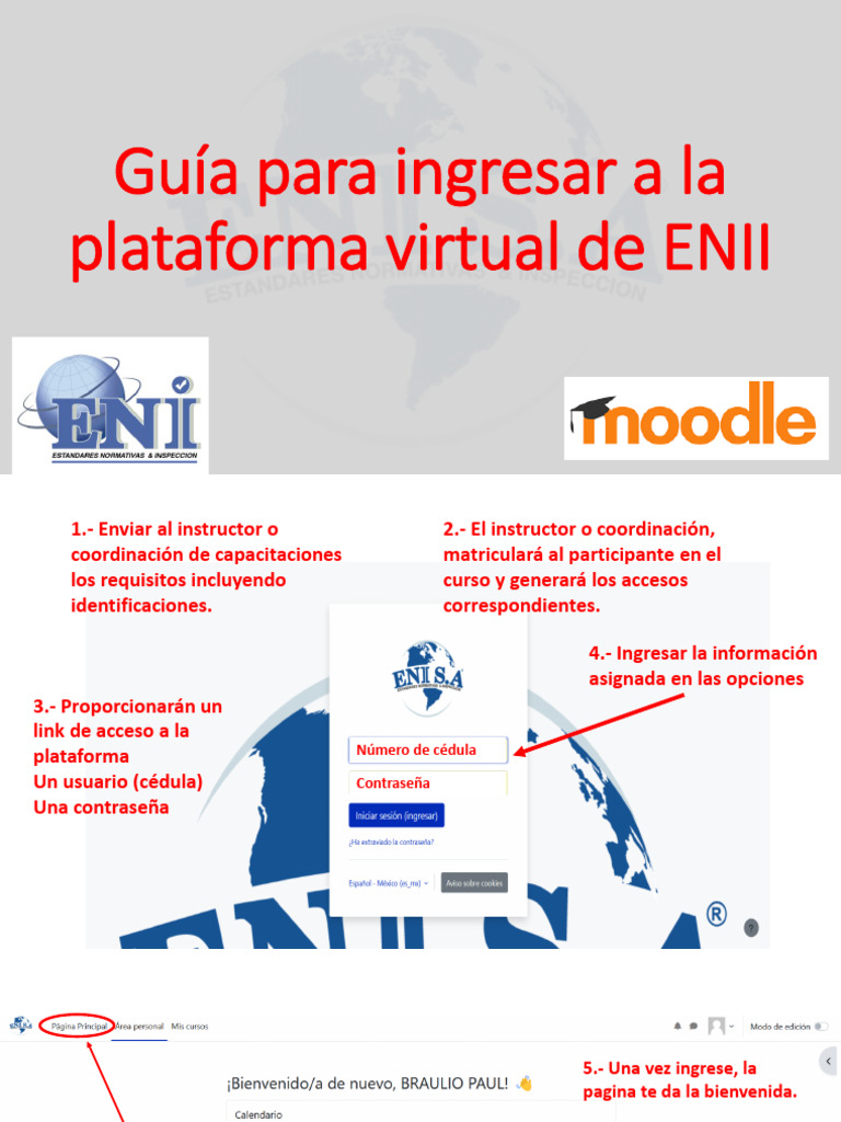 Acceso a la Plataforma Virtual ENII | PDF