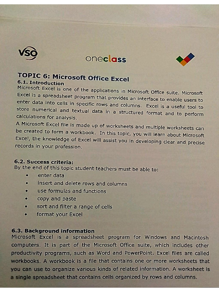 Microsoft Spreadsheet Application | PDF