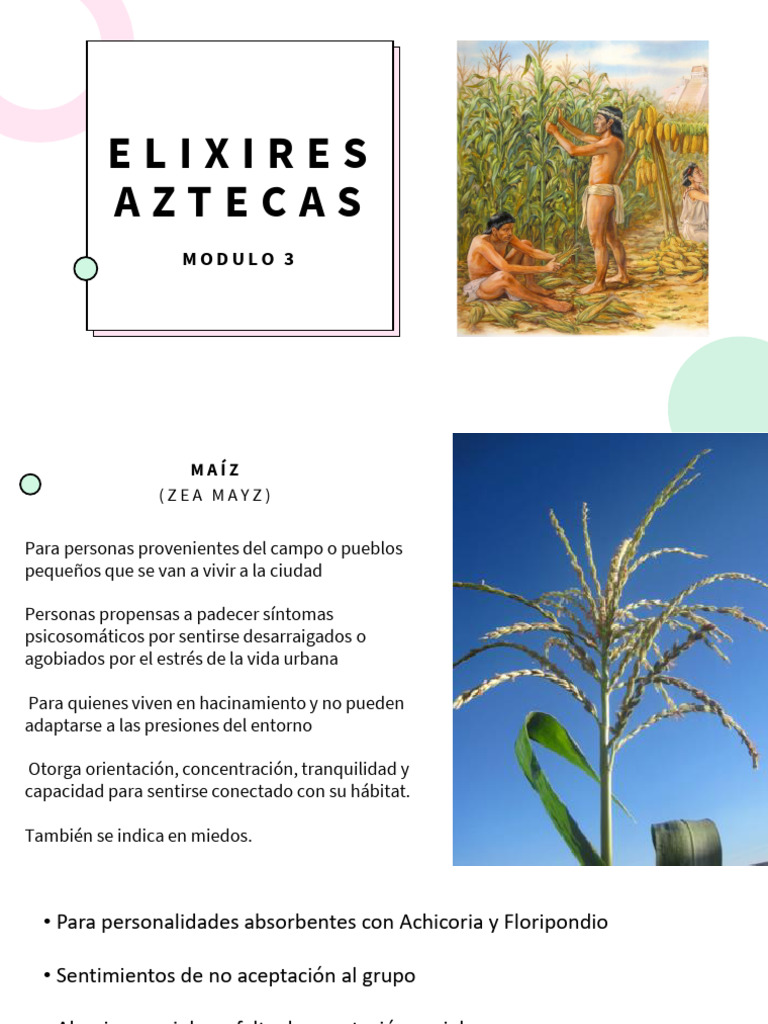 Elixires Aztecas para Bienestar Emocional | PDF | Soledad | Las emociones