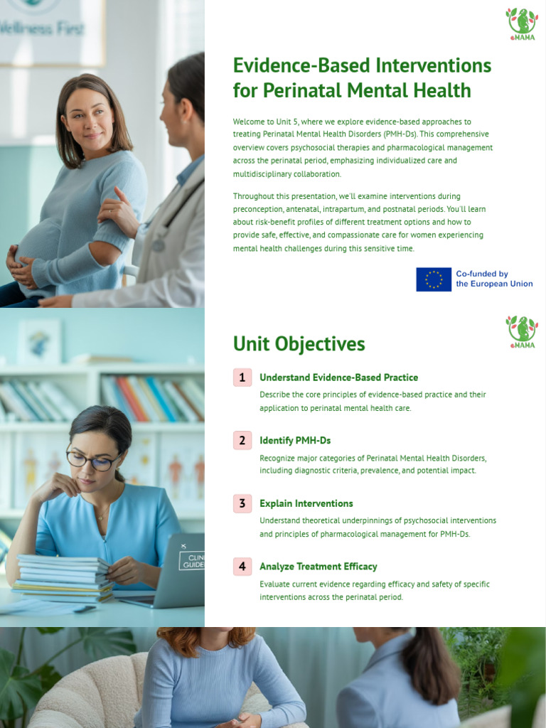 EMAMA M1 Evidence-Based Interventions For Perinatal Mental Health | PDF ...