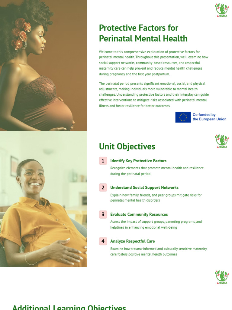 Perinatal Mental Health: Protective Factors | PDF | Postpartum ...