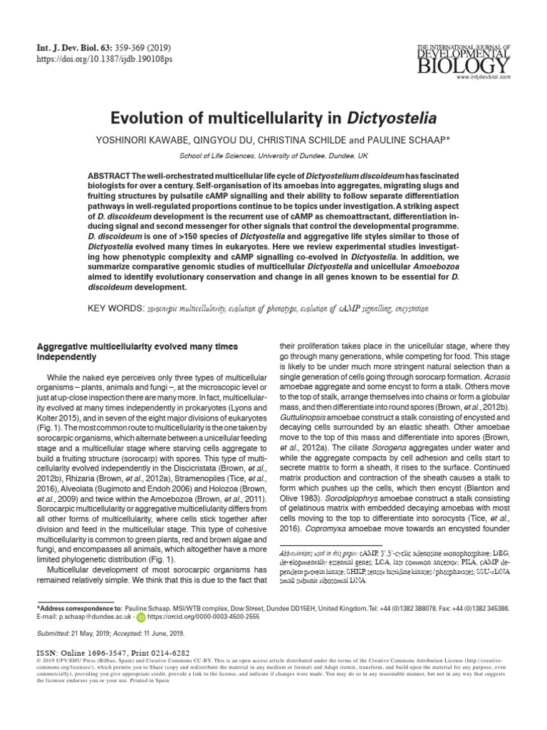2019 Int J Dev Biol - Evolution of Multicellularity in Dictyostelia ...