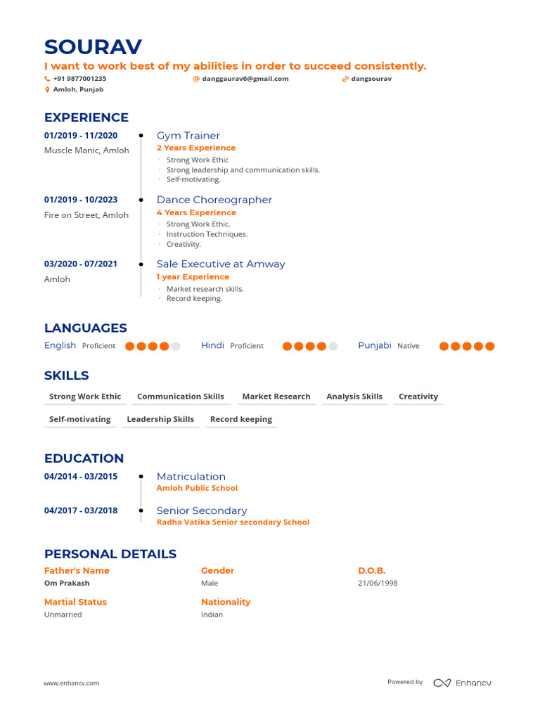CV of Sourav: Skills & Experience | PDF