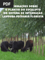 Informacoes Sobre o Manejo Do Eucalipto...