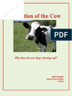 Digestion in Grass Eating Animals | PDF