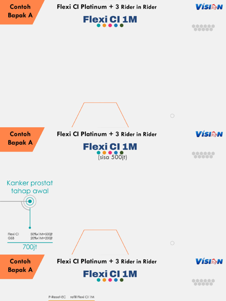 Flexi CI Riders - VC4 | PDF