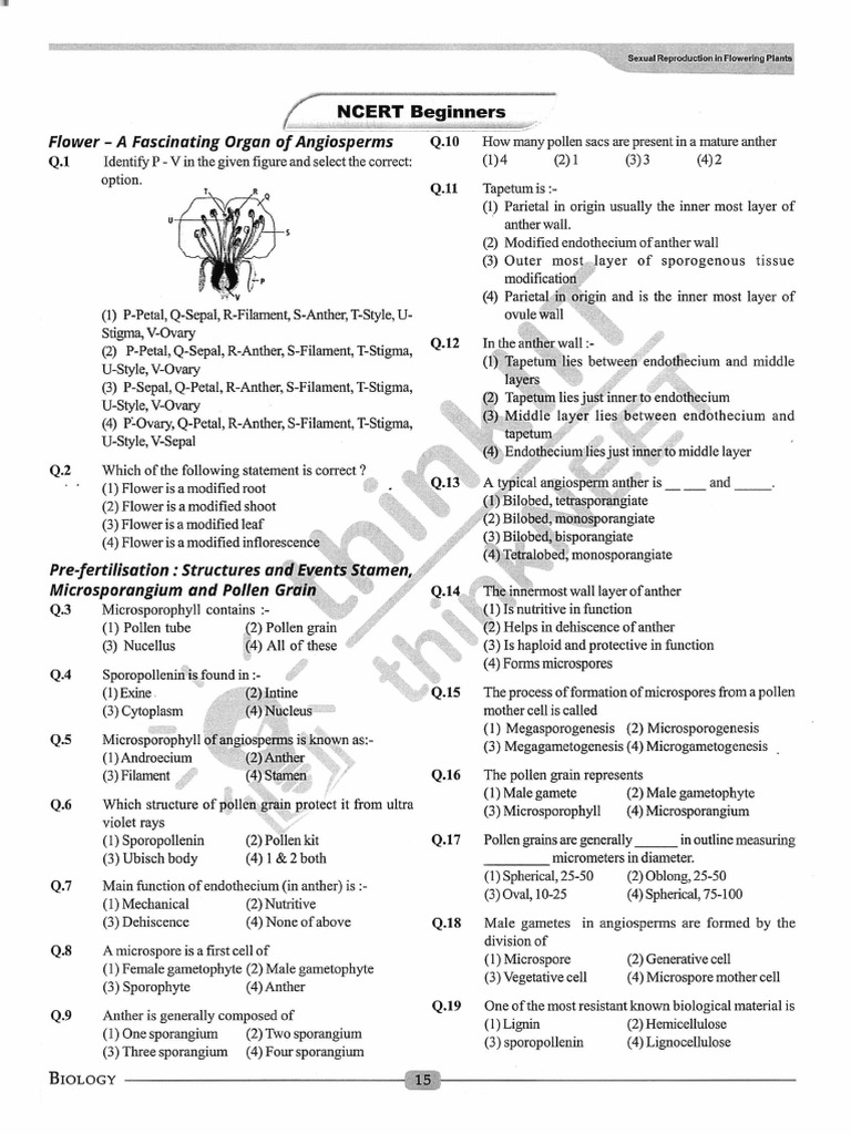 Angiosperm Flower Structure Quiz | PDF | Fertilisation | Seed