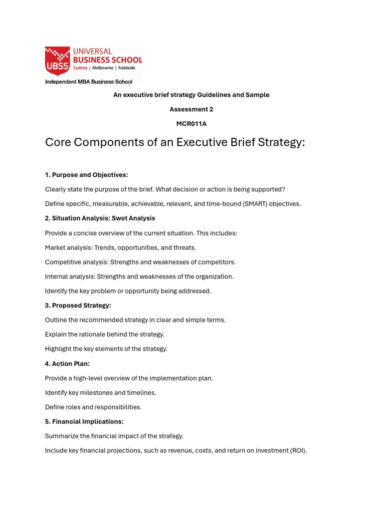 Executive Brief Strategy Guidelines | PDF | Digital Marketing | Online ...