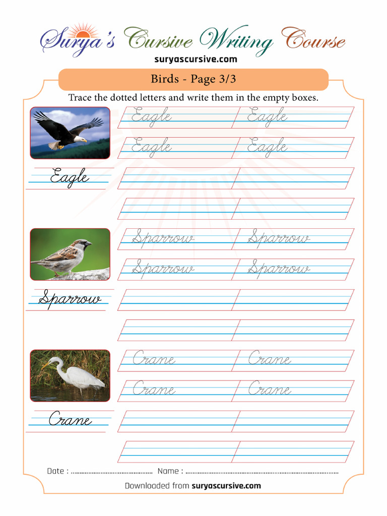 Birds Page 3 | PDF