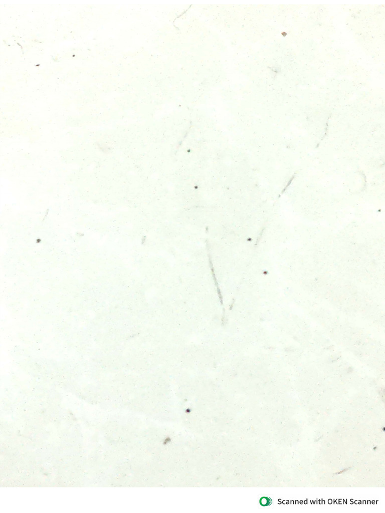 Sample | PDF