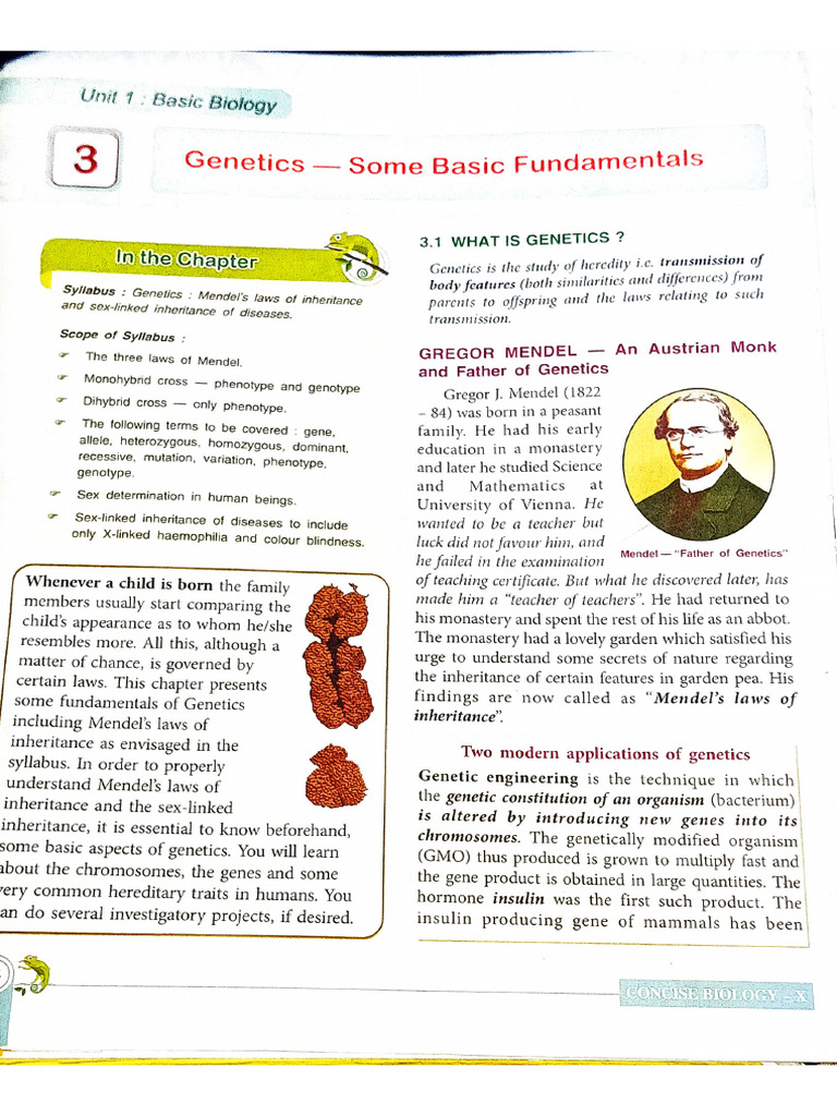 Biology Genetics Lesson 3 | PDF