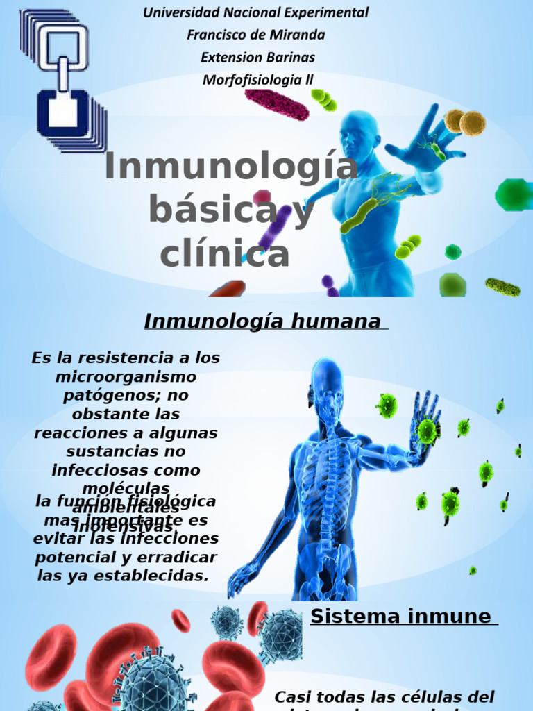 Inmunologia Basica | PDF | Sistema inmune | Linfocitos