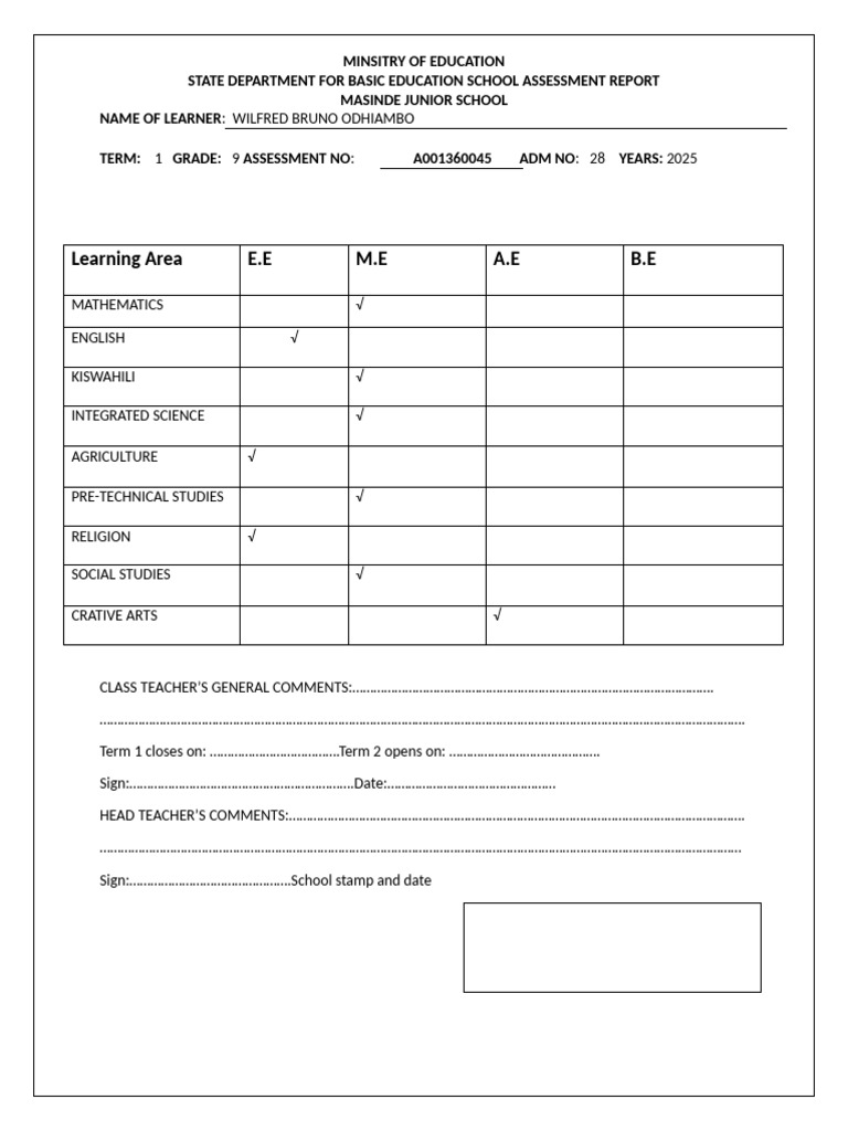 Blank Assessment Report | PDF