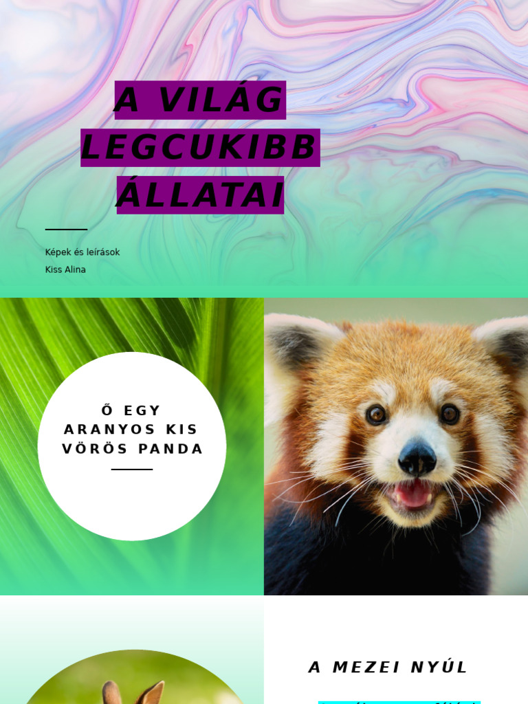 A Világ Legcukibb Állatai | PDF
