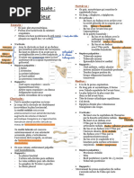 Mouvements de l'Épaule et du Bras | PDF