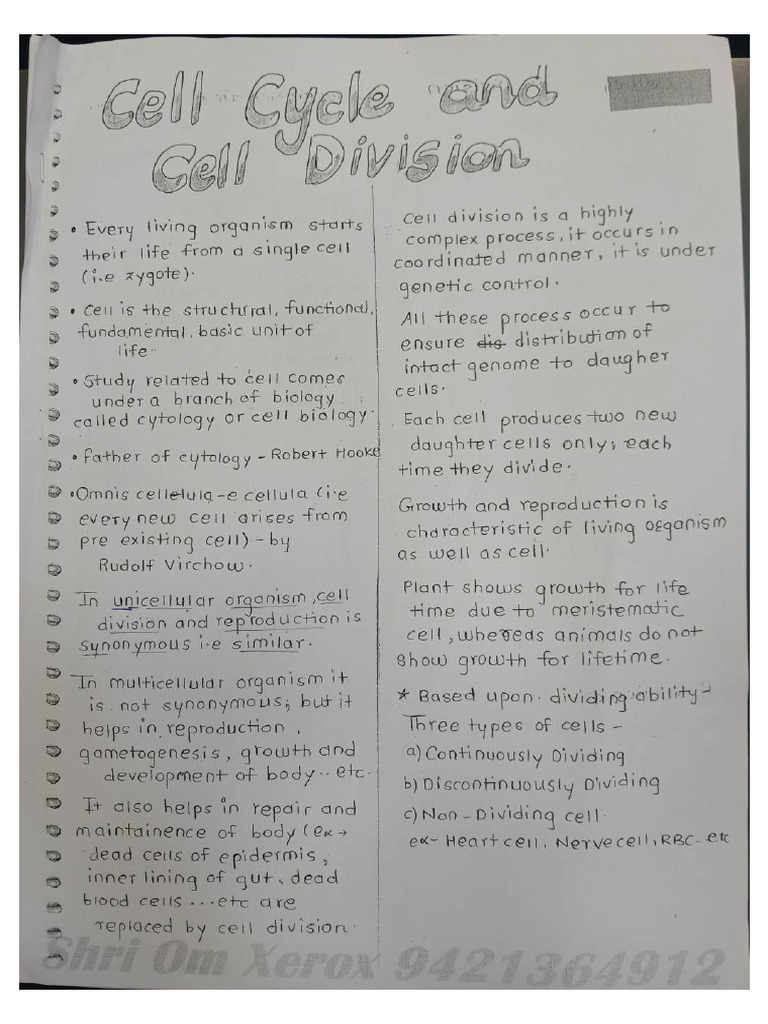 Cell Cycle Notes Jha Sir ? | PDF