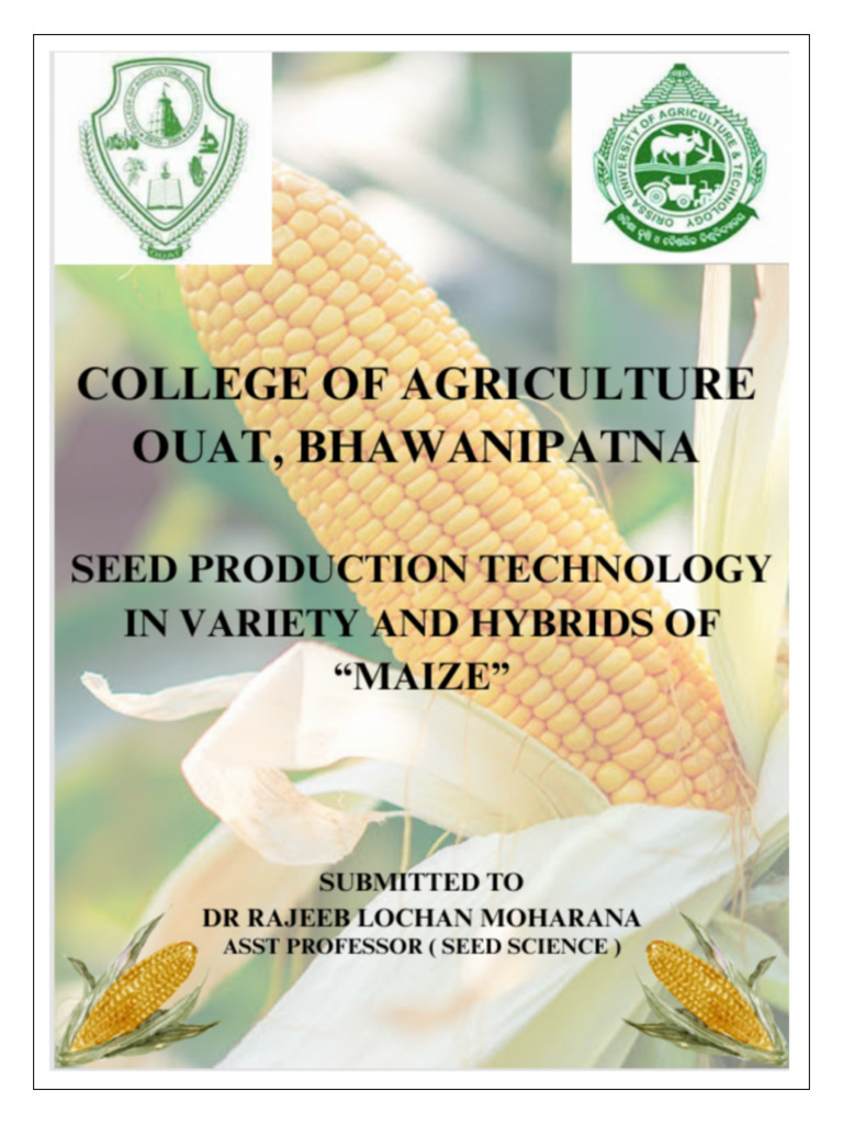 Seed Production in Maize | PDF