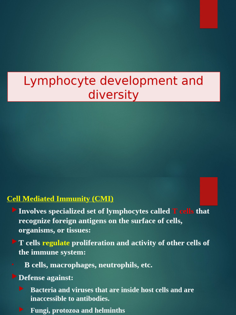 T Cell Function in Cell Mediated Immunity | PDF | Immune System | Antigen