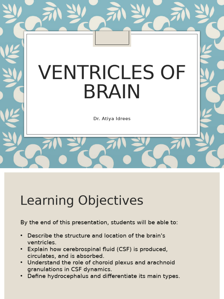 Third Ventricle and CSF Dynamics | PDF | Cerebrospinal Fluid | Central ...