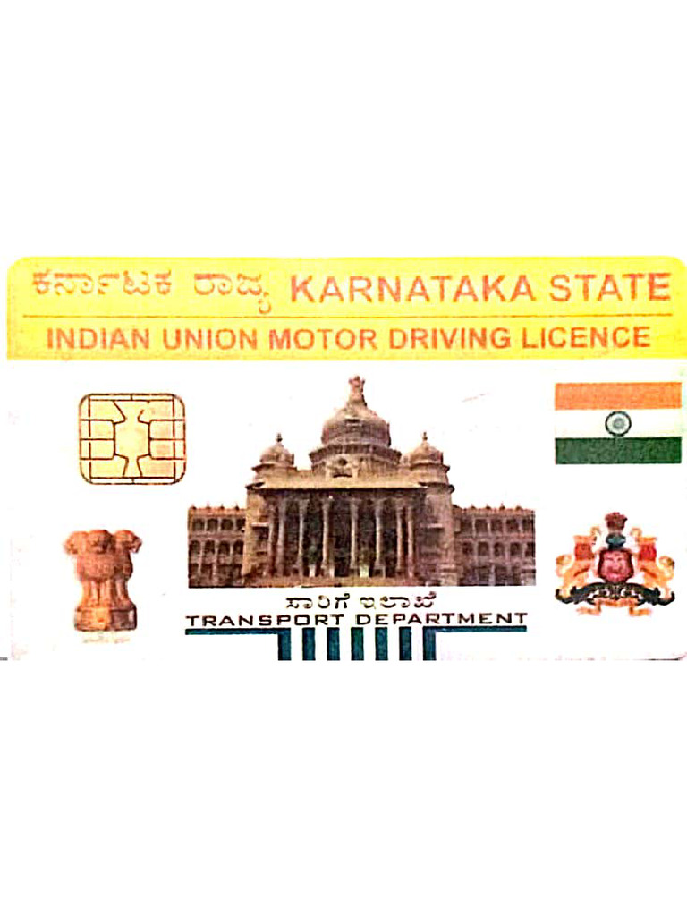 Driver Documents | PDF