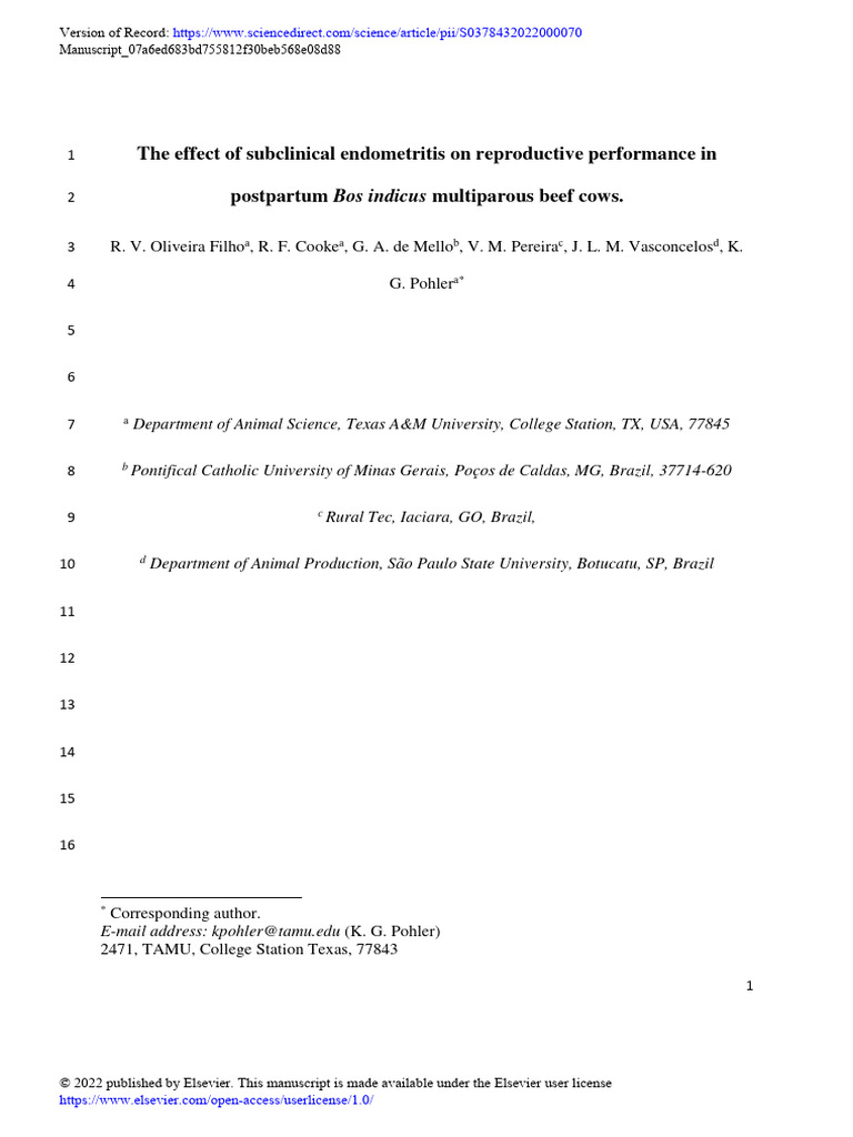 Subclinical Endometritis in Beef Cows | PDF