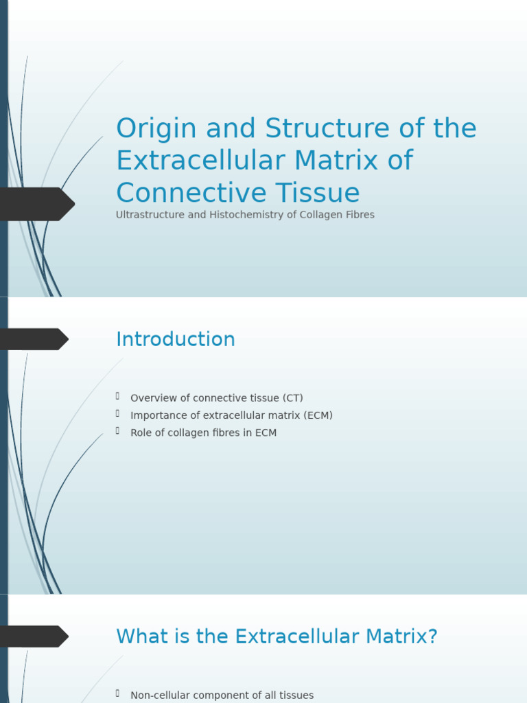 Extracellular Matrix and Collagen Overview | PDF