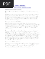 Download 37557149-SPERMATOPHYTA by Noura Qalbiy AzZhafeera SN88952555 doc pdf
