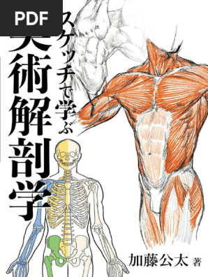 Art Anatomy Learned From Sketches (スケッチで学ぶ美術解剖学) | PDF