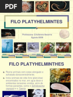 Animal Platelmintos