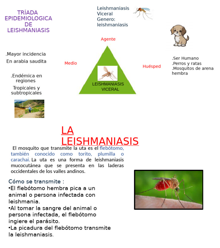Tríada 2 | PDF
