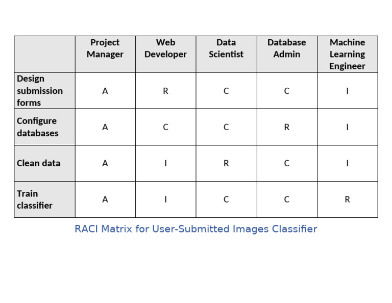 RACI Matrix | PDF