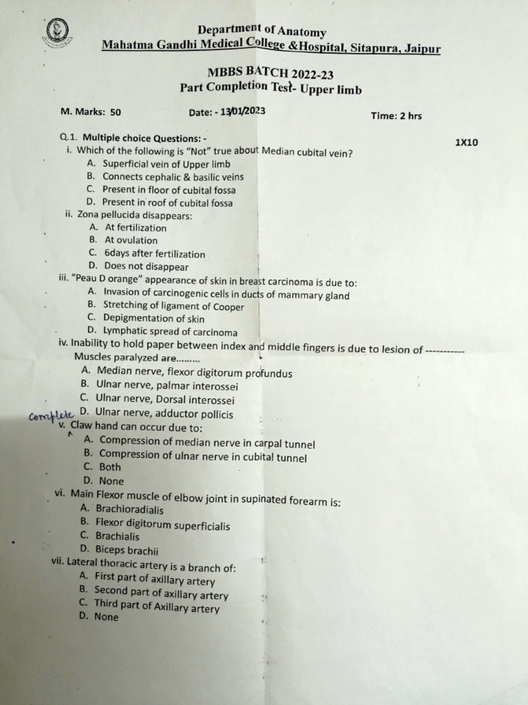 22 Batch Internal Papers PDF Thalamus Vein 22 Batch Internal Papers PDF Thalamus Vein