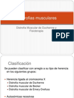 Distrofias Musculares 1
