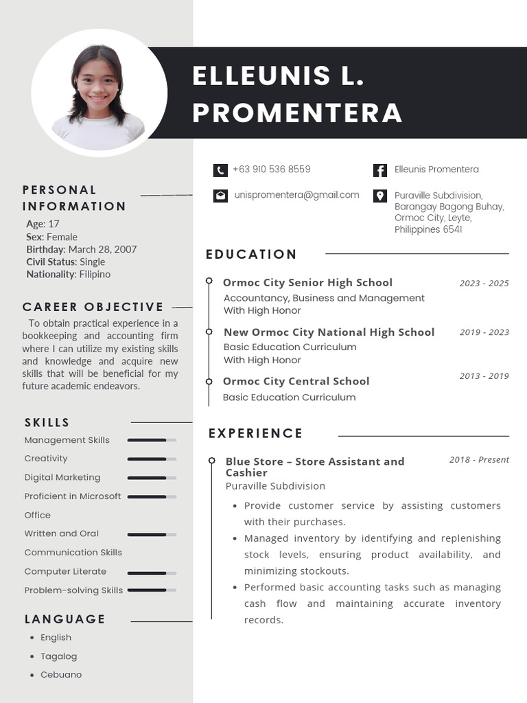 Accounting Experience and Skills Summary | PDF | Computing