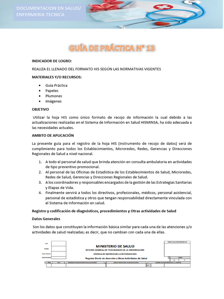 Llenado del Formato HIS en Salud | PDF