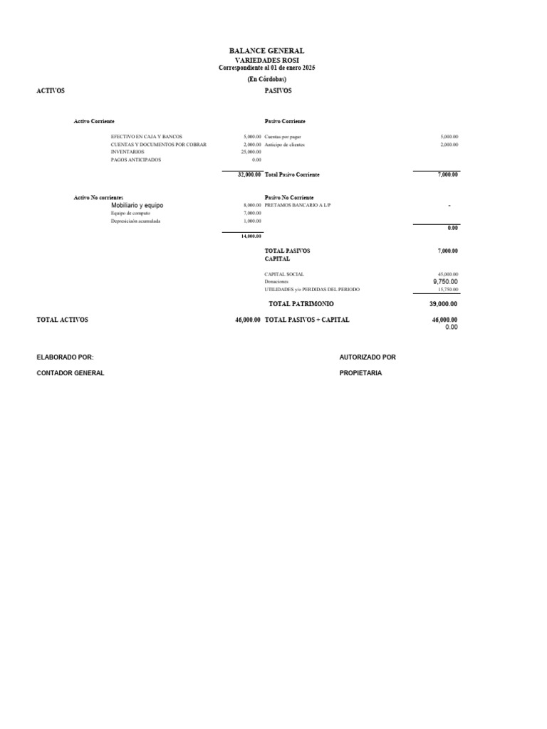 Balance General y Estado de Resultados 2025 | PDF | Contabilidad | Bancos