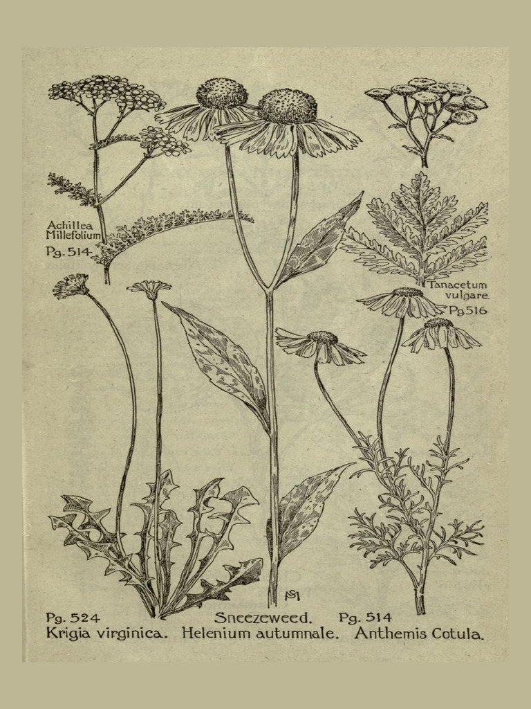Pin page | PDF