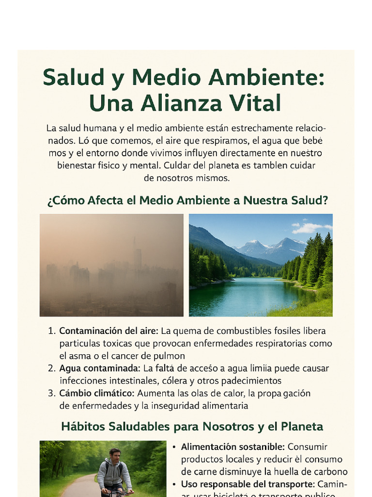 Infografia Salud y Medio Ambiente | PDF
