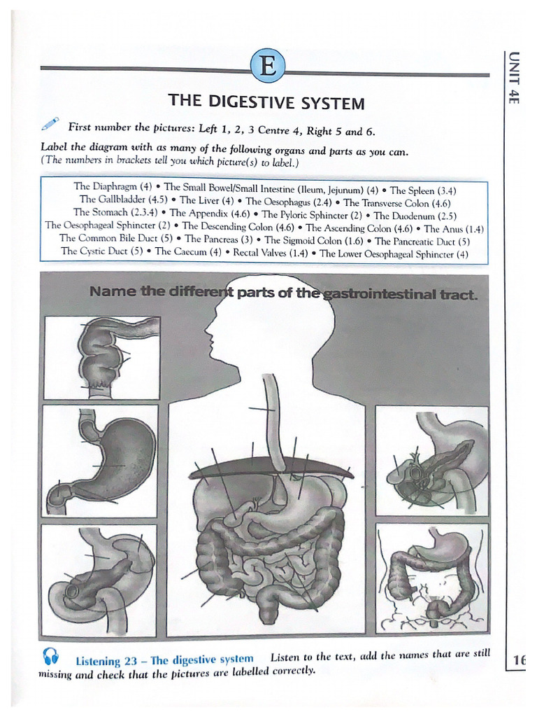 Gastrointestinal Surgical Procedures | PDF