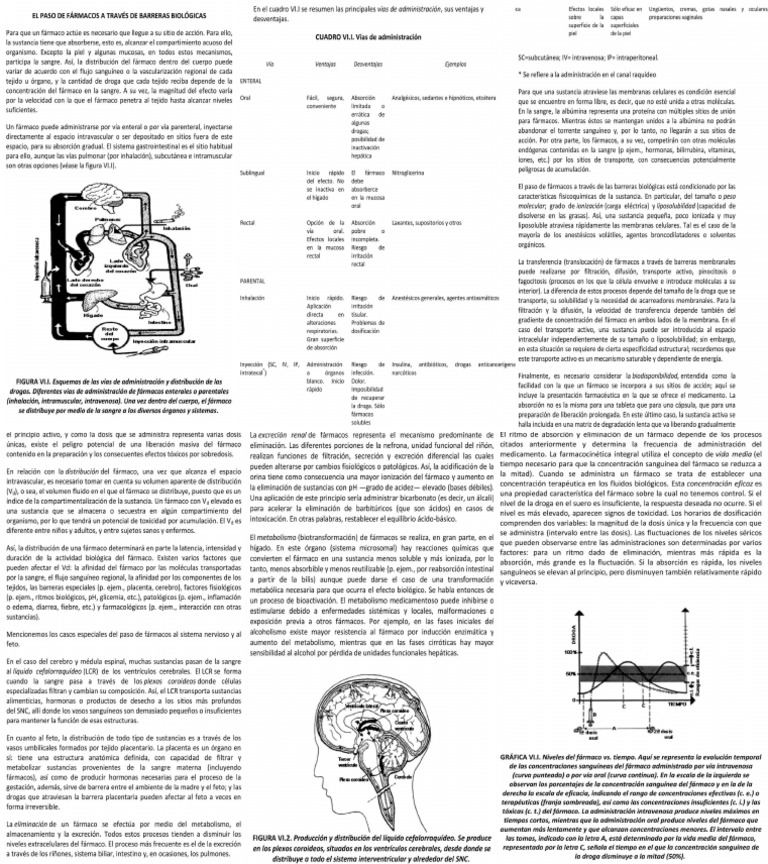 Farmacos Procesos ADME | PDF