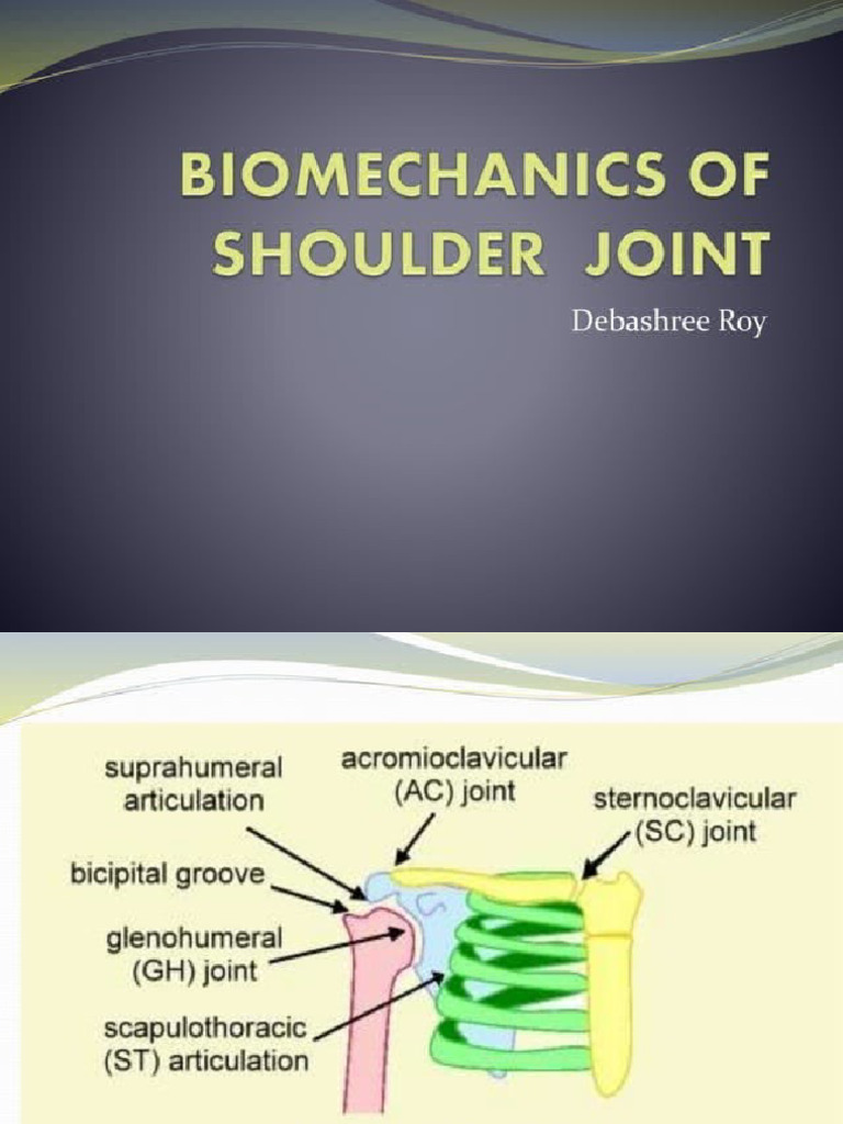 Shoulder Complex | PDF