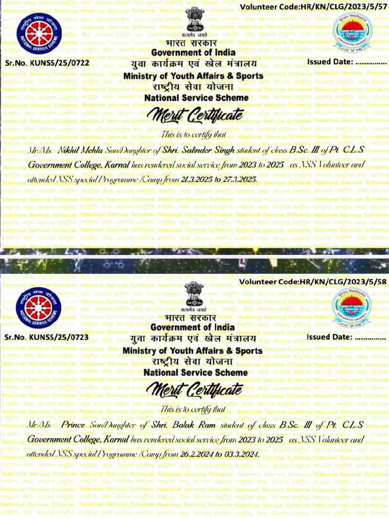 Merit Certificate | PDF