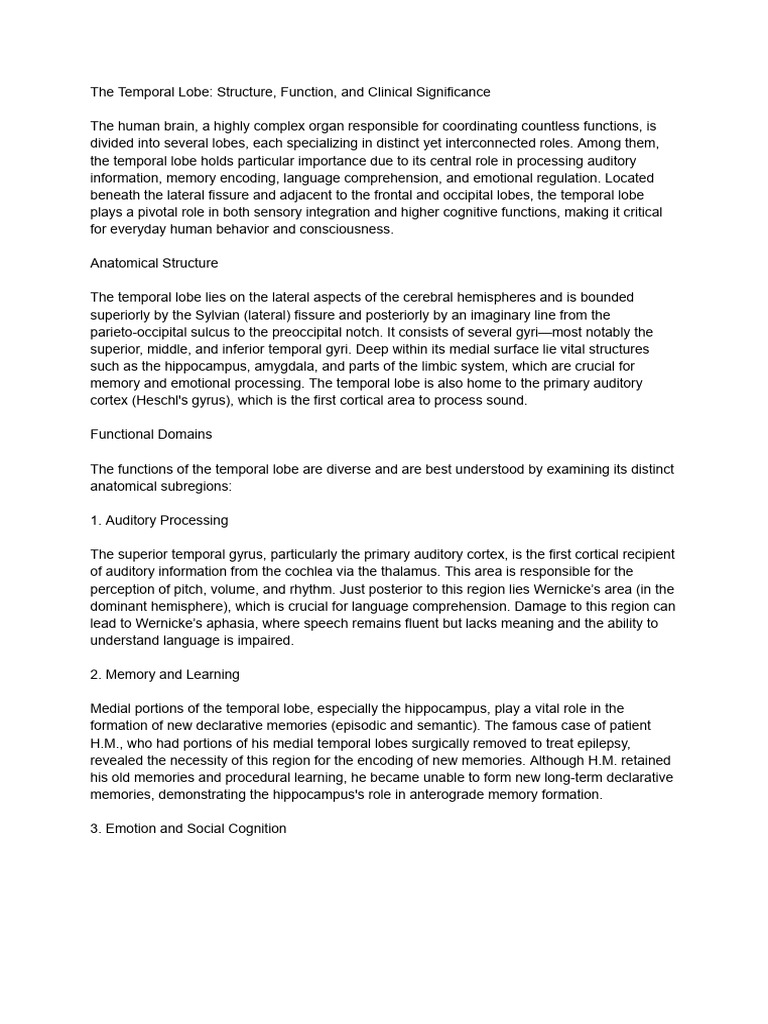 The Temporal Lobe - Structure, Function, and Clinical Significance ...