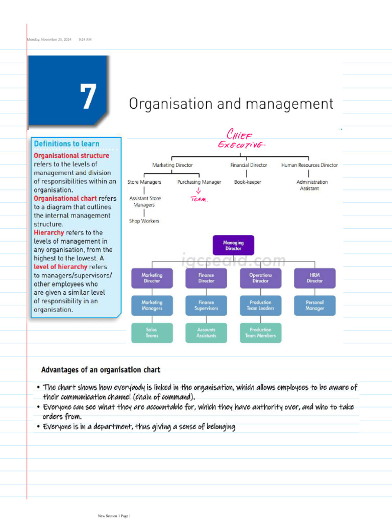 Chap# 7 - Organization and Management | PDF