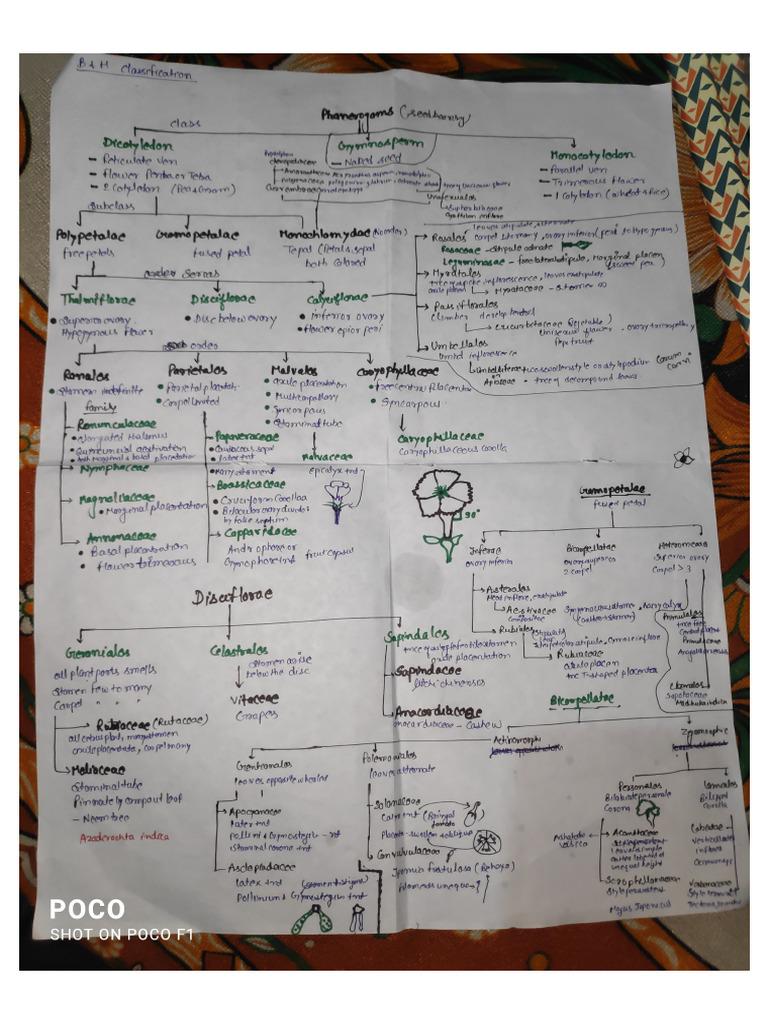Bentham and Hooker Classification | PDF