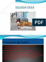 2. Fisiologia Osea 2a Parte (1)