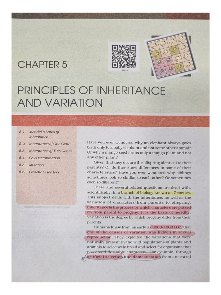 Principles of Inheritance and Variation | PDF